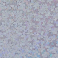 XVINYL Holographic Sparkle HTVGlitter Vinyl for Cricut (Silver)