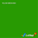 products/OracalGlossyVinyl_YellowGreen.png