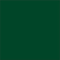 Siser Easyweed Stretch Pine Green