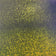 products/yellow-holoshine-flex.jpg