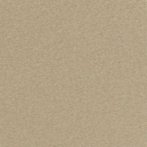 XVinyl Flock HTV Iron on  (Ivory)
