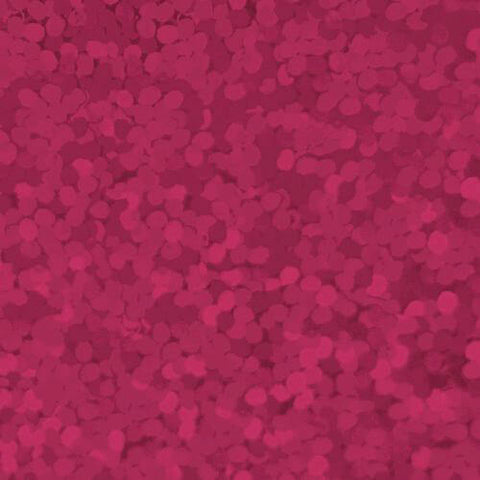 XVINYL Holographic Sparkle HTV Glitter Vinyl for Cricut (Fuschia)