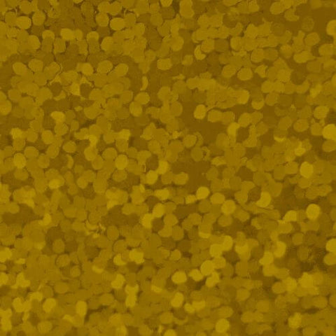 XVINYL Holographic Sparkle HTV Glitter Vinyl for Cricut (Gold)