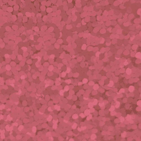 XVINYL Holographic Sparkle HTV Glitter Vinyl for Cricut (Pink)