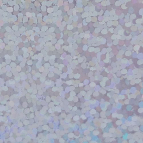 XVINYL Holographic Sparkle HTVGlitter Vinyl for Cricut (Silver)