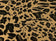 files/image_1b6d4dad-cc1a-4722-b02b-95875a4d6550.jpg