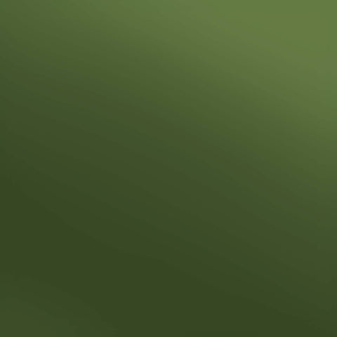 Siser Olive Electric