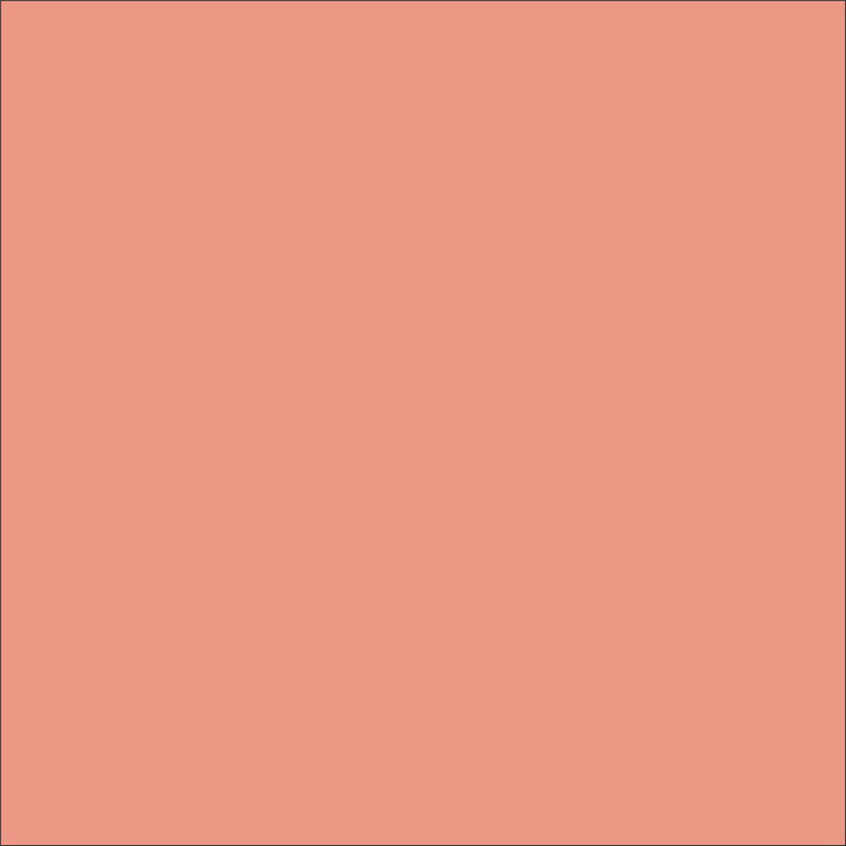 Craft Coral HTV Vinyl 12" x 10 Yard Roll