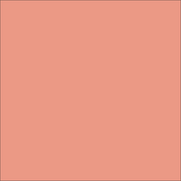 Craft Coral HTV Vinyl 12" x 10 Yard Roll