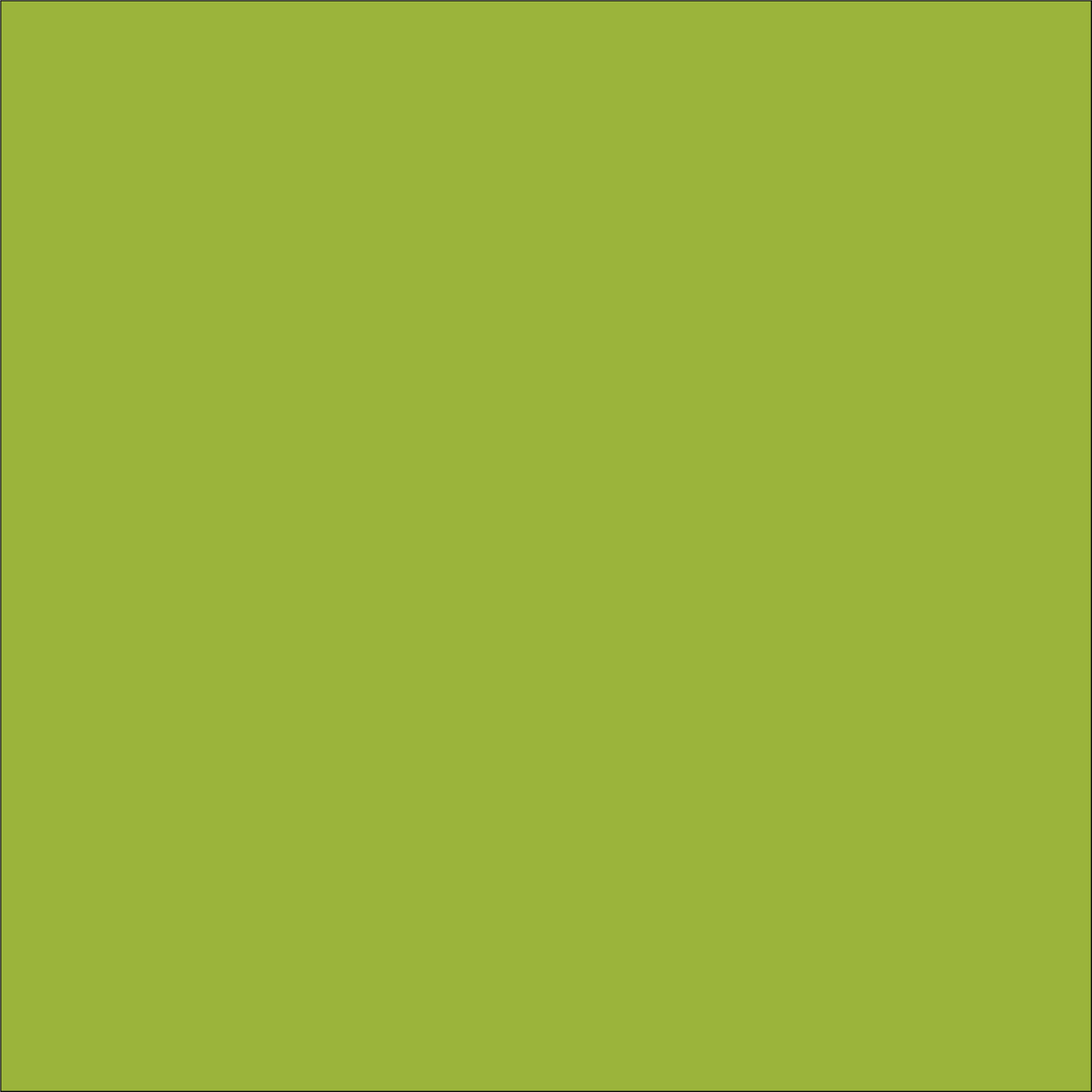 Craft Matte Lime HTV Vinyl 12" x 10 Yard Roll